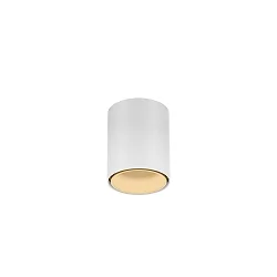 downlight RAY MINI 1.0 down, cylindrical, surface-mounted version IP20, white matt dimmable