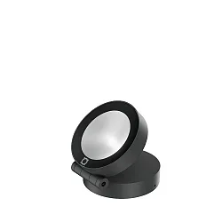 floodlight X-BEAM ROUND OUTDOOR WALL / FLOOR SURF PROJ 1.0 IP65, anthracite dimmable