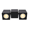 SLV Ceiling luminaire ALTRA DICE CW, Double, GU10 QPAR51, black