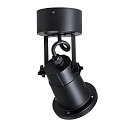 SLV Outdoor wall-/ceiling luminaire NAUTILUS 25, QPAR51, IP54 IK02, GU10 max. 11W, swiveling, matt black