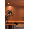track spot IN-LINE 44 TRACK 48V DALI controllable IP20, black dimmable