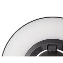 SLV outdoor floor lamp I-RING round, switchable, with diffuser, cardanic swivelling IP65, anthracite 