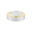 SLV wall and ceiling luminaire MEDO� 30 round, CCT Switch, direct / indirect IP50, white dimmable
