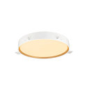 SLV wall and ceiling luminaire DECONA PHASE round, CCT Switch IP44, gold, white dimmable