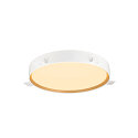 SLV wall and ceiling luminaire DECONA PHASE round, CCT Switch IP44, gold, black dimmable