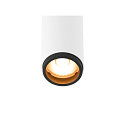 SLV ceiling luminaire GRIP!S SINGLE suitable for VDU workstation IP20, black, white, lacquered dimmable