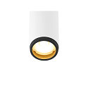 SLV ceiling luminaire GRIP!S SINGLE suitable for VDU workstation IP20, black, white, lacquered dimmable