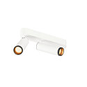 ceiling luminaire GRIP!M DOUBLE IP20, black, white, lacquered dimmable