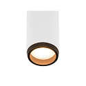 SLV ceiling luminaire GRIP!M DOUBLE IP20, black, white, lacquered dimmable