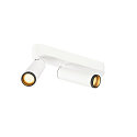 ceiling luminaire GRIP!M DOUBLE IP20, black, white, lacquered dimmable