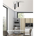 ACB ceiling luminaire ZOOM 45 GU10 IP20, white 