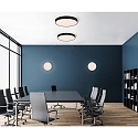 ceiling luminaire ROMA 3974/40 with diffuser IP20