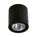 Outdoor Ceiling Spot Type No. 2140, IP23, GU10 PAR16 max. 50W, black matt