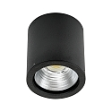 LED Outdoor Ceiling Spot Type No. 2380, 12W 1200lm, black matt