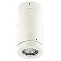 Outdoor Ceiling spot Type No. 2138, IP44, GU10 PAR16 50W, rotatable and swiveling, white