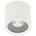 LED Outdoor Ceiling spot Type No. 2319, IP44, � 11cm, 8W 3000K 800lm 30�, swiveling 30�, white matt