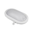 HWH damp-proof luminaire BASIS FIX SENSOR oval IP54, grey 