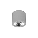 downlight APOLLO MAXI round, switchable, faceted IP20, powder coated, silver 