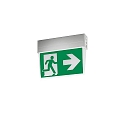emergency luminaire EKW IP41, silver