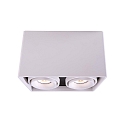 Ceiling luminaire MONA II, 50W, 2x GU10, 220-240V, IP20, white