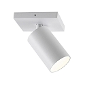 ceiling luminaire CAN TILT SQUARE 11CM 1 flame, square, cardanic swivelling GU10 IP20, white