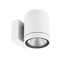 facade spotlight SHORELINE PRO ROUND 100 DOWN 1 flame, round, CCT Switch IP65, white dimmable