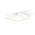 ceiling luminaire CUT 30 N IP44, white matt dimmable