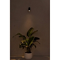 Faro outdoor wall luminaire PLOM LED IP64, dark grey 