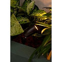 Faro wall luminaire TONI GU10 IP65, black matt 
