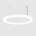 pendant luminaire � 115.5CM DALI controllable, CCT Switch, direct, UGR < 19, ring shape IP40, white dimmable