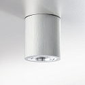 Surface mounted spot ADL9001, round, GU10, IP20, 25� swiveling, brushed aluminum