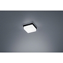 ceiling luminaire COSI IP30, satined, black matt dimmable