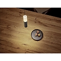 pendant luminaire LIDOS 1 flame, direct / indirect IP20, black chrome dimmable