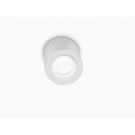 outdoor ceiling luminaire LOT GU10 IP65, clear, white matt