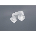 ceiling luminaire NAKA 30W 2 flames, adjustable IP20, white matt dimmable