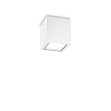 outdoor ceiling luminaire TECHO square GU10 IP54, white