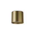 downlight SPIKE  PL ROUND LED cylindrical, switchable IP20, brushed brass 