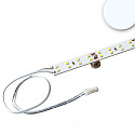 LED module T5/T8 865 DIM MINIAMP - 115CM - 170LM/W with plug, 2-pole