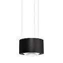 pendant luminaire EASY LENS Dim-To-Warm, with lens optics IP20, black dimmable
