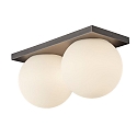 Lumexx wall and ceiling luminaire PALLA DOUBLE IP20, titanium dimmable