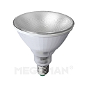 Outdoor LED planting lamp, reflector shape PAR38, IP55, E27, 12W PT-Special, clear strukturiert