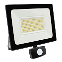LED Floodlight ISPOT XL, 47W, 6600lm, 4000K, IP54, incl. PIR sensor, black