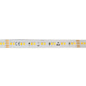 LED Strip SMD 2835 SCCT MP - 5M / 12MM CCT Switch, multipower white