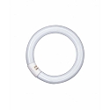 fluorescent lamp L, circular 26mm tube, G10q, 840 C neutral white, 32W