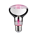 LED Growth light Filament Lamp / Grow Green Reflector R80, 230V, E27, 6.5W 1300K 200lm 60�