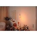 Paulmann LED filament lamp METALLIC GLOW CYLINDER SPIRAL switchable E27 4,2W 200lm 1800K CRI >80 