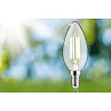 Paulmann filament lamp candle ECO-LINE CANDLE switchable P45 clear E14 2,5W 525lm 4000K 360� CRI >80  clear