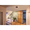 Paulmann spot LANKA 4 flames E14, black dimmable