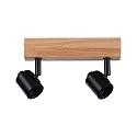 spot ARVID 2 flames E27, black dimmable