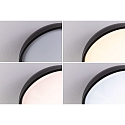 Paulmann bath luminaire OKA CCT Switch, switchable IP44, mat, black 